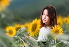 品味茶李，体验传统养生茶的魅力